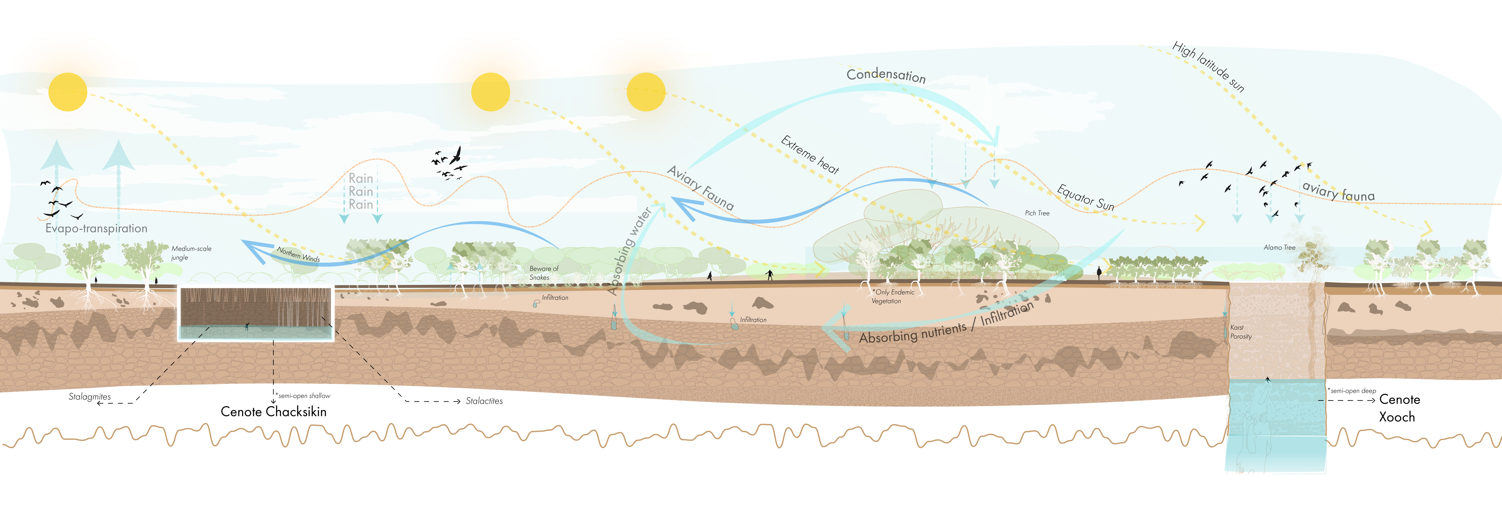 Cenote Research Institute Site Section